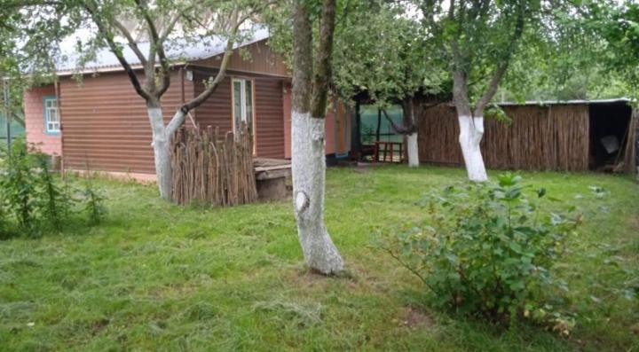 дача, будинок,баня Holiday home